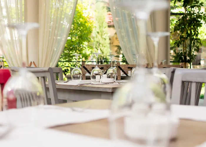 Esteban Vip Club 네세부르